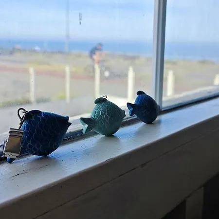 海边民宿3人间家庭房 * Zandvoort